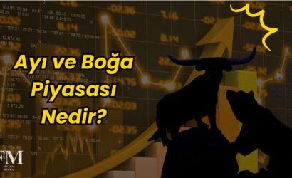 Ayı ve Boğa Piyasası Nedir