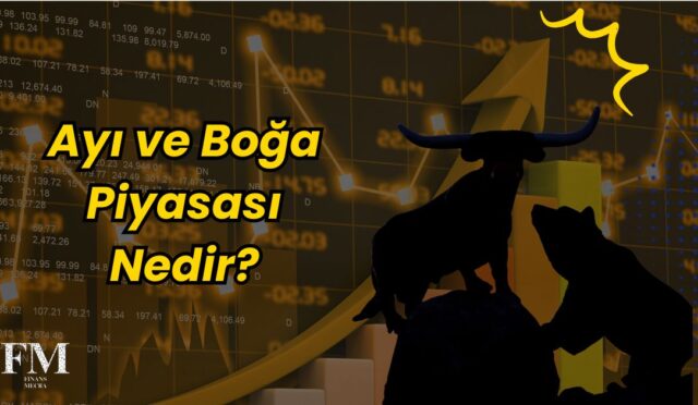 Ayı ve Boğa Piyasası Nedir