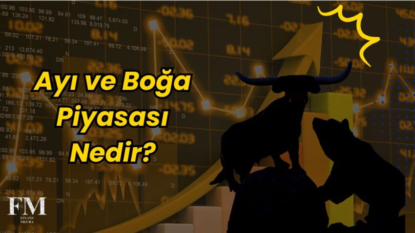 Ayı ve Boğa Piyasası Nedir?