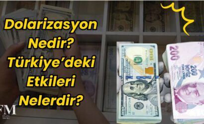 Dolarizasyon Nedir Türkiye’deki Etkileri Nelerdir