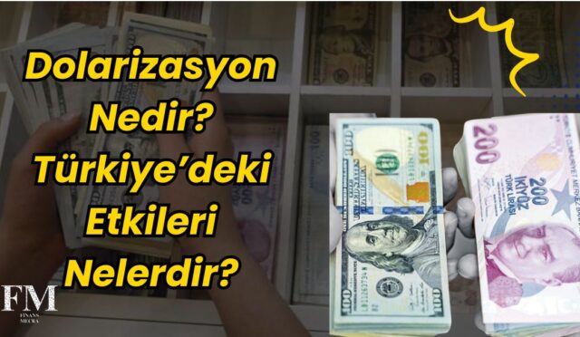 Dolarizasyon Nedir Türkiye’deki Etkileri Nelerdir