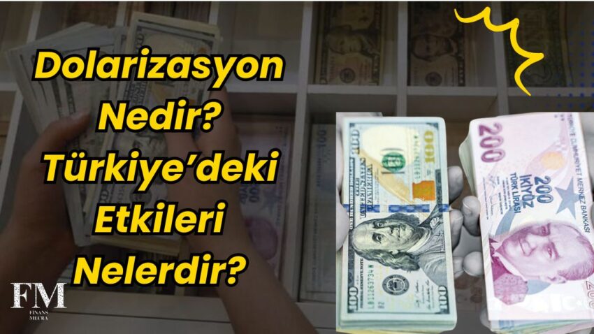Dolarizasyon Nedir? Türkiye’deki Etkileri Nelerdir?