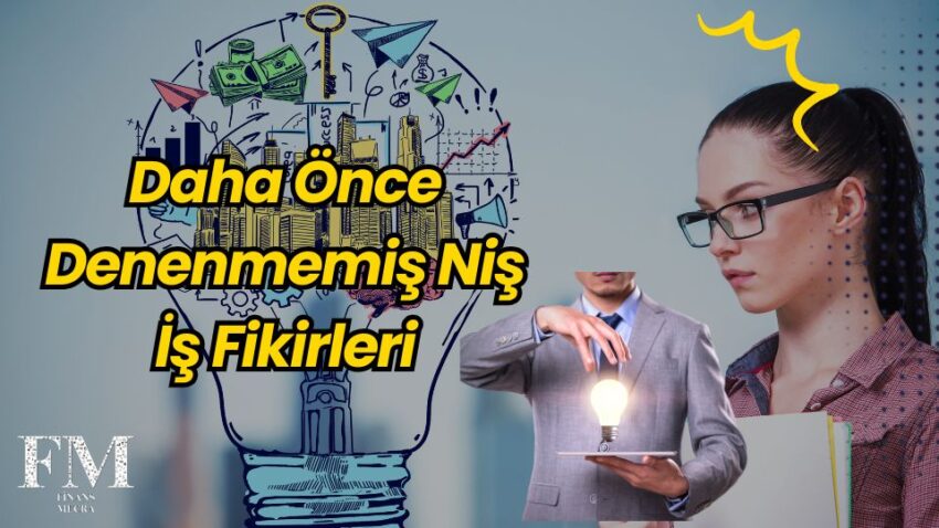 Daha Önce Denenmemiş Niş İş Fikirleri!