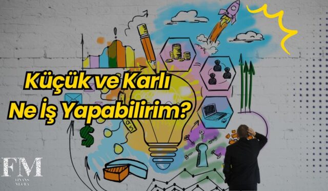 Küçük ve Karlı Ne İş Yapabilirim?