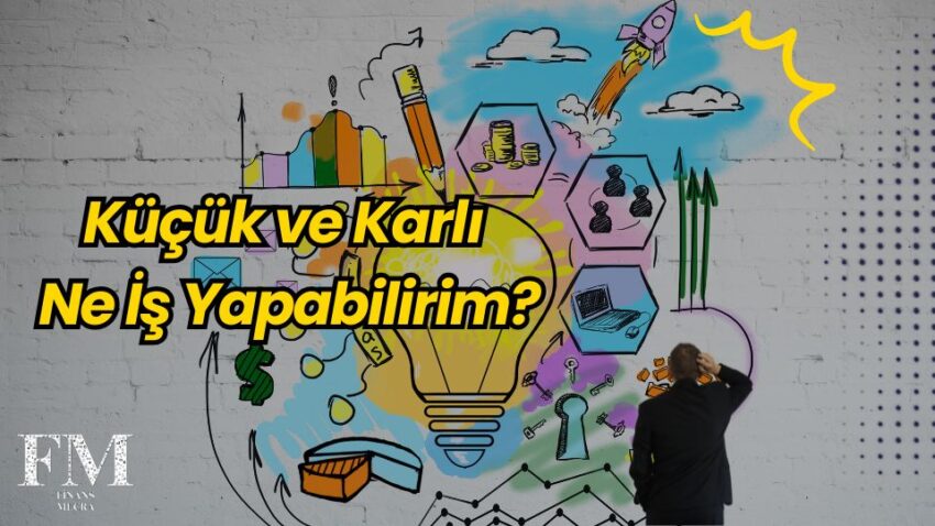 Küçük ve Karlı Ne İş Yapabilirim?